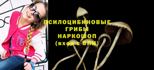 шишки Осташков