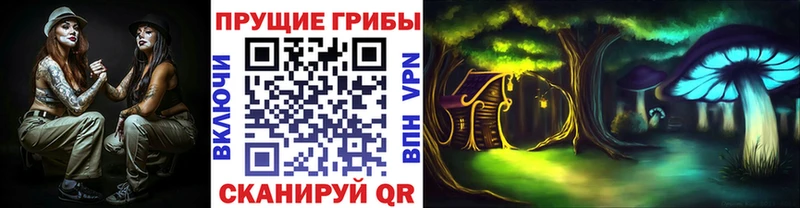 наркота  Апшеронск  Галлюциногенные грибы прущие грибы 